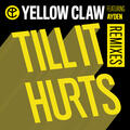 Yellow Claw & Ayden