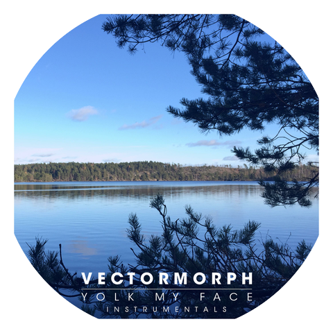 Vectormorph