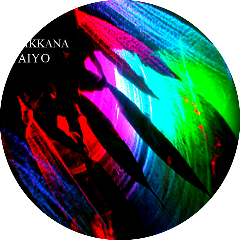 Yokoinc