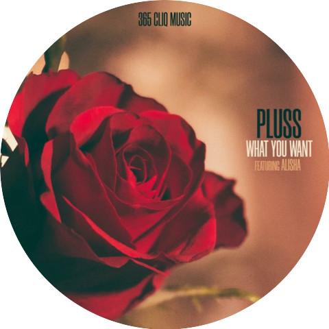 A Pluss