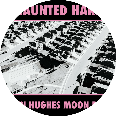 Haunted Hare