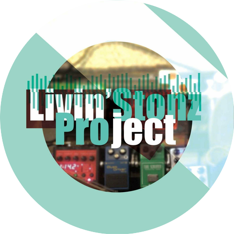 Livin'Stonz Project