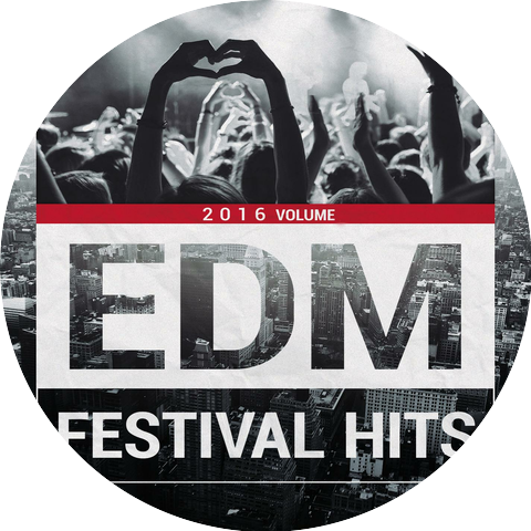 EDM Rockstar DJs