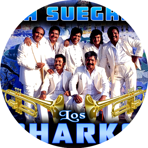 Los Sharks