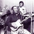 Muddy Waters & Otis Spann