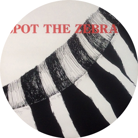 Spot the Zebra