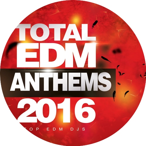 Top EDM DJs