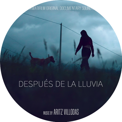 Aritz Villodas