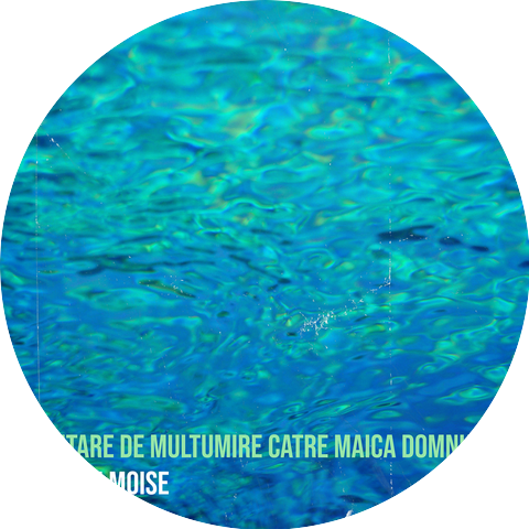 Marian Moise