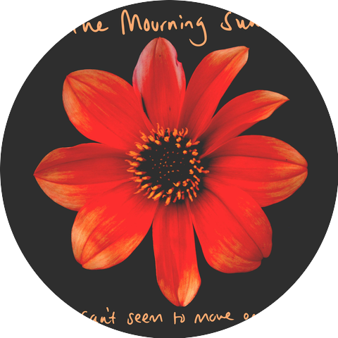 The Mourning Suns
