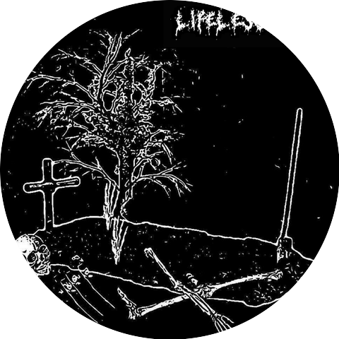 Lifeless Past