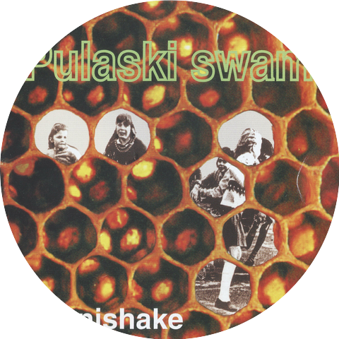 Pulaski