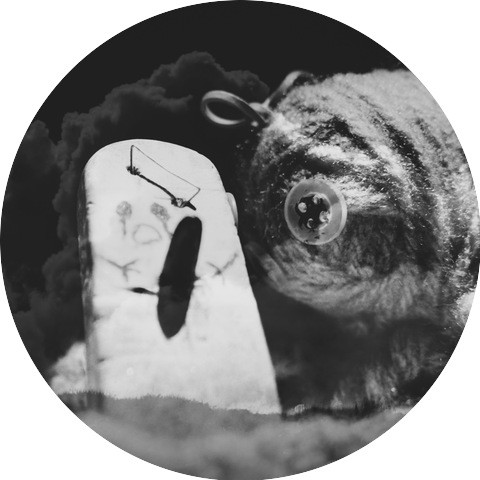 Poulpie