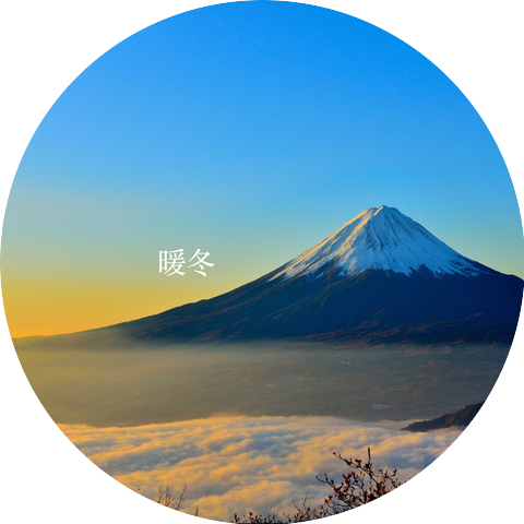 沈丽
