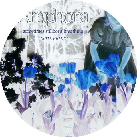 Amphora