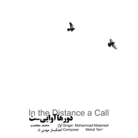 Mohammad Motamedi & Mehdi Teimoori