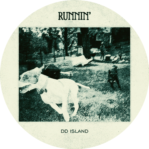 D.D. Island