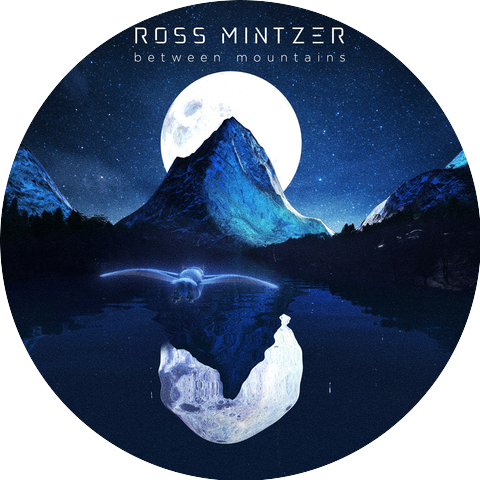 Ross Mintzer