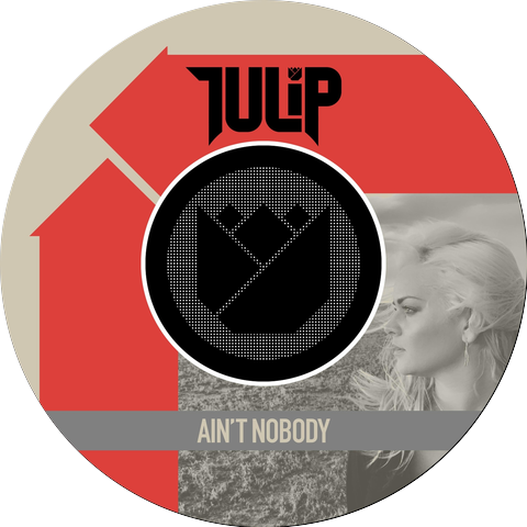 Tulip