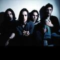 The Veils