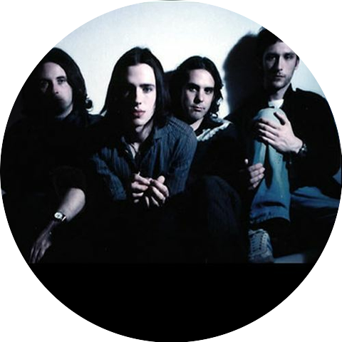 The Veils