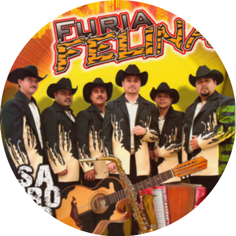 Furia Felina