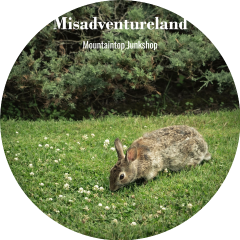 Mountaintop Junkshop