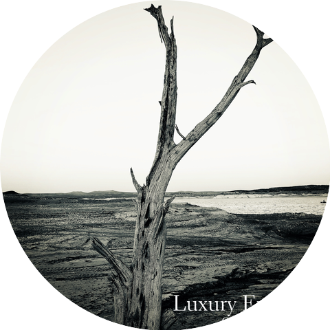 Luxury Eviction