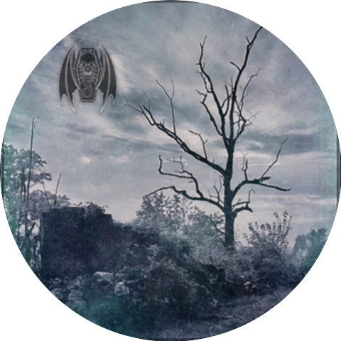 Sonsombre