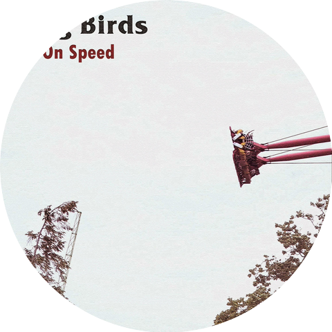Long Birds