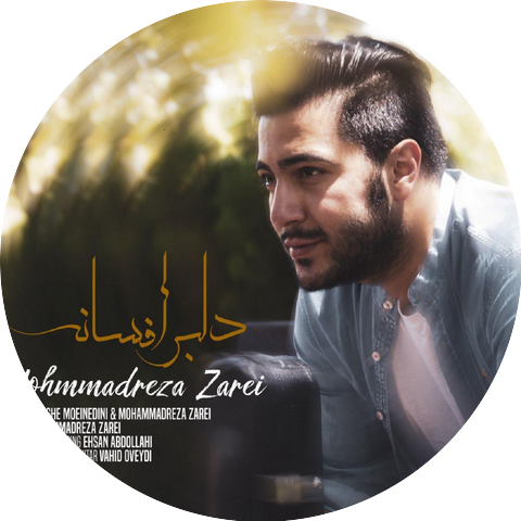 Mohammadreza Zarei