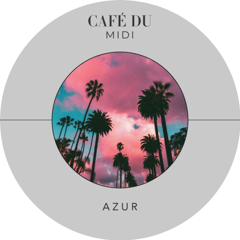 Café du Midi