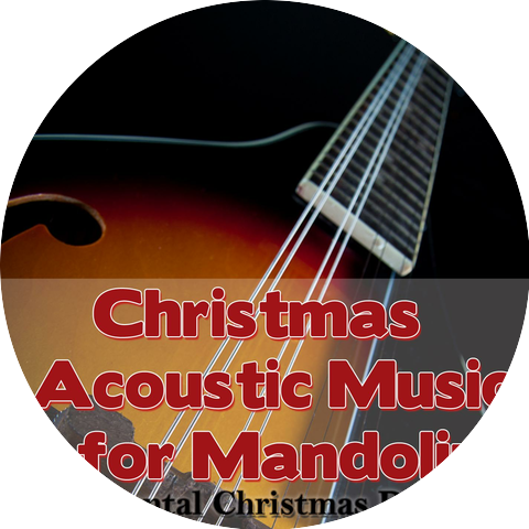 Instrumental Christmas Duo 2012