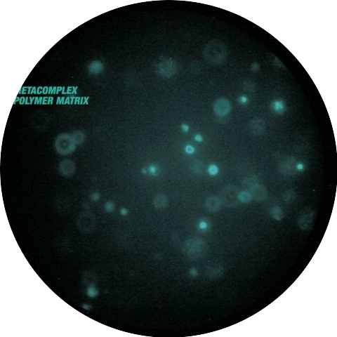 MetaComplex