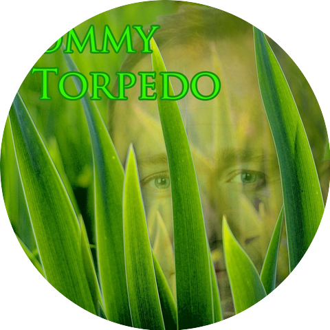 Tommy Torpedo