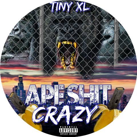 Tinyxl
