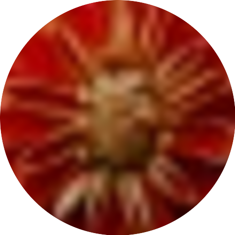 Decended