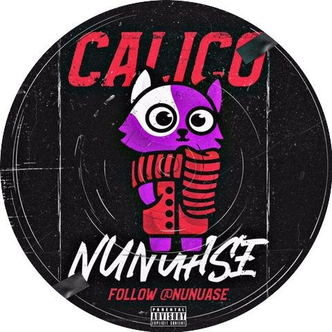 NuNu Ase