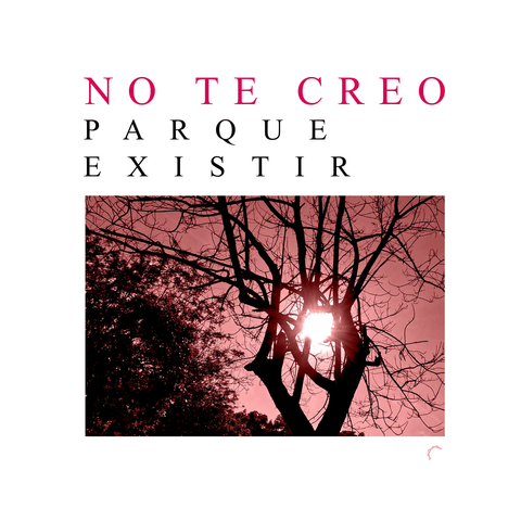 No Te Creo