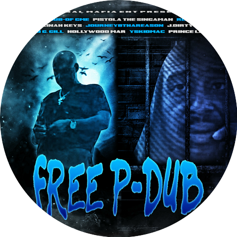 P-Dub of GME