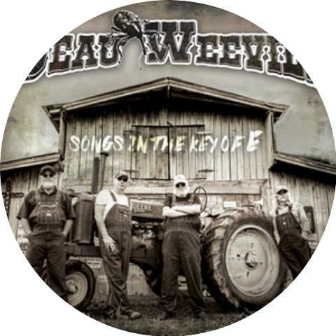 Beau Weevils