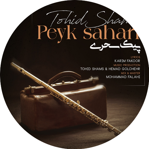 Tohid Shams