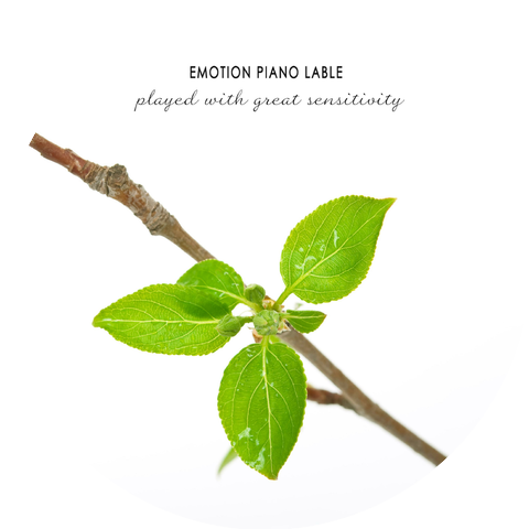 Hope Lime