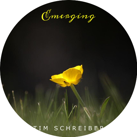 Tim Schreiber