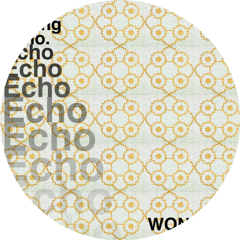 Never Ending Echo