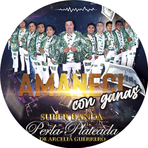 Super Banda Perla Plateada