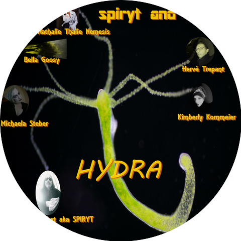 Spiryt