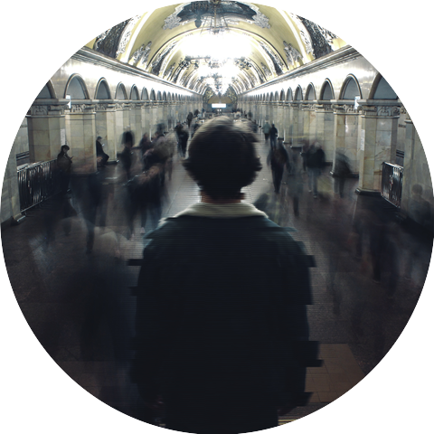 жадный дельфин