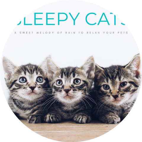 Cat Music & Music For Cats & Music for Pets
