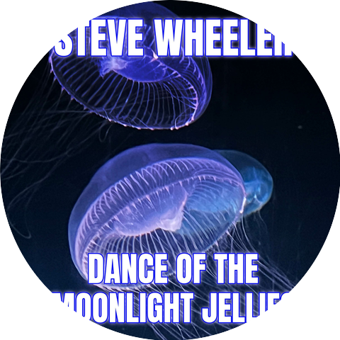 Steve Wheeler